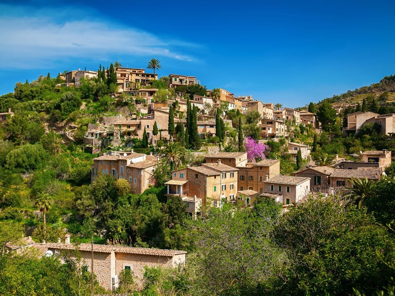 Guided Tours in Majorca | Guided Tours in Majorca