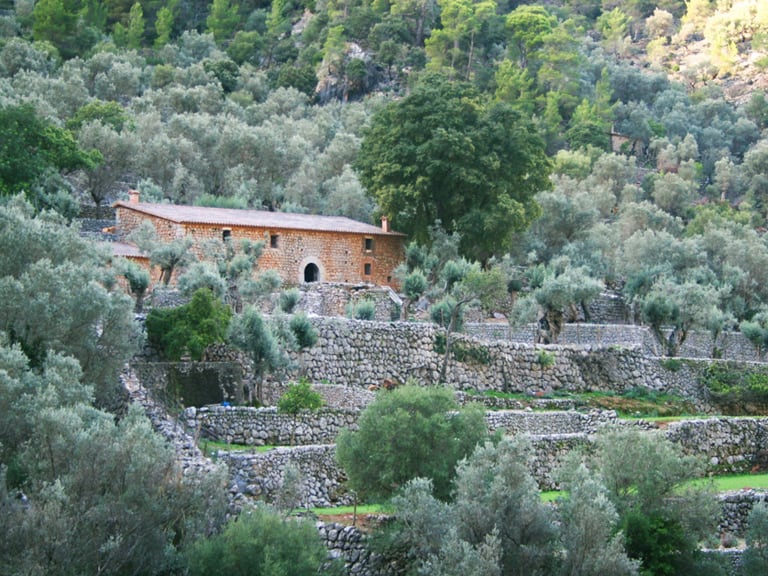 Guided Tours in Majorca | Guided Tours in Majorca